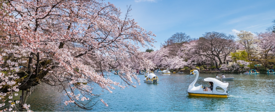 The Japan School Kichijoji campus