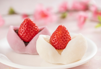 Japanese lesson methodology at The Japan School