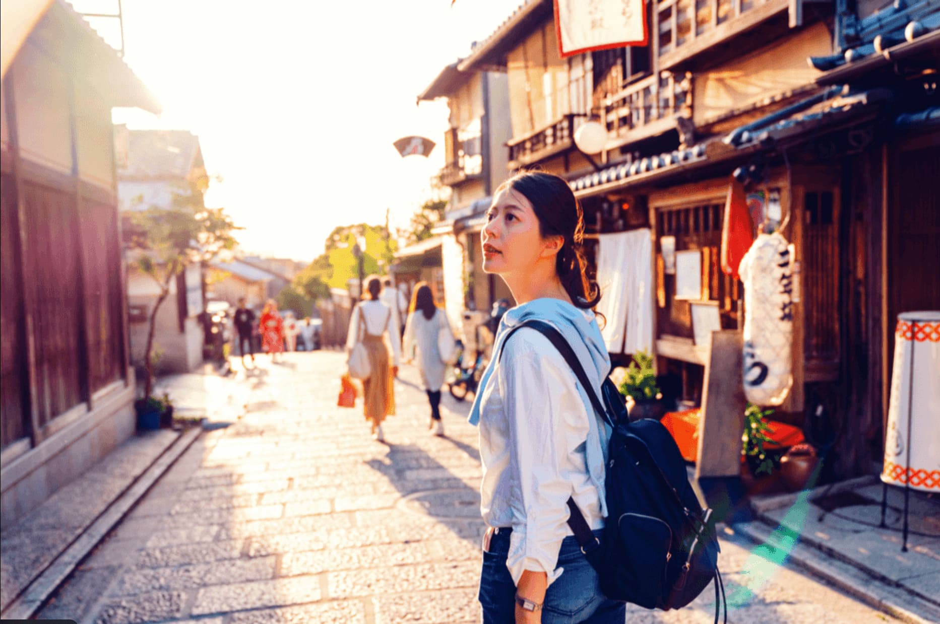 Japan as a whole subject for deep understanding