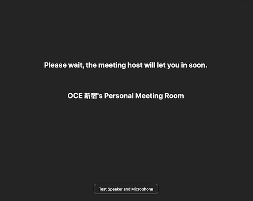 Zoom Online Lessons 1