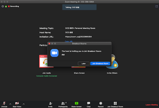 Zoom Online Lessons 2