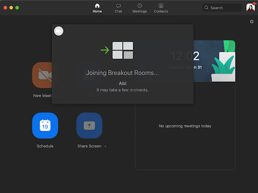 Zoom Online Lessons 3
