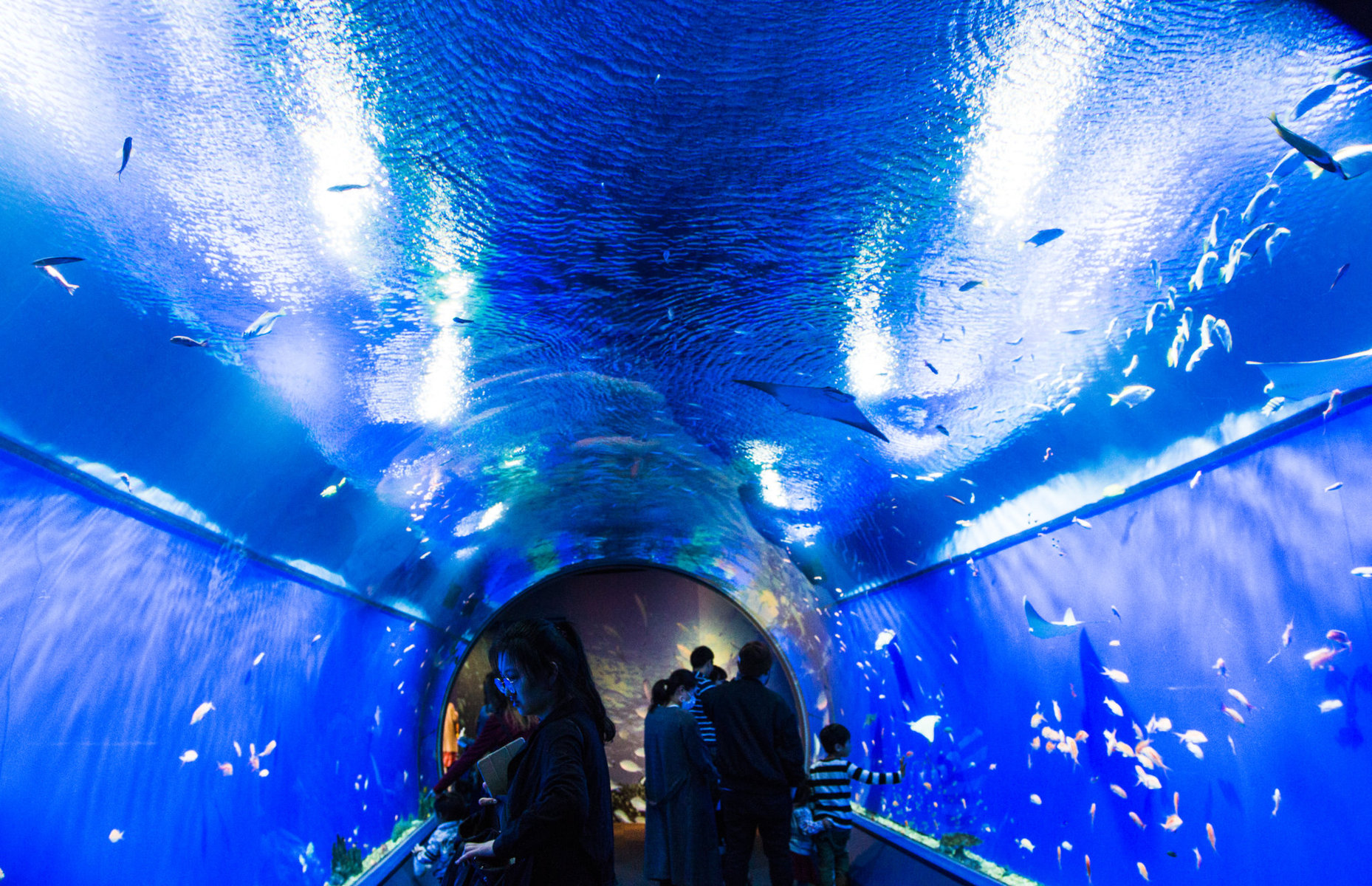 good Japan date locations