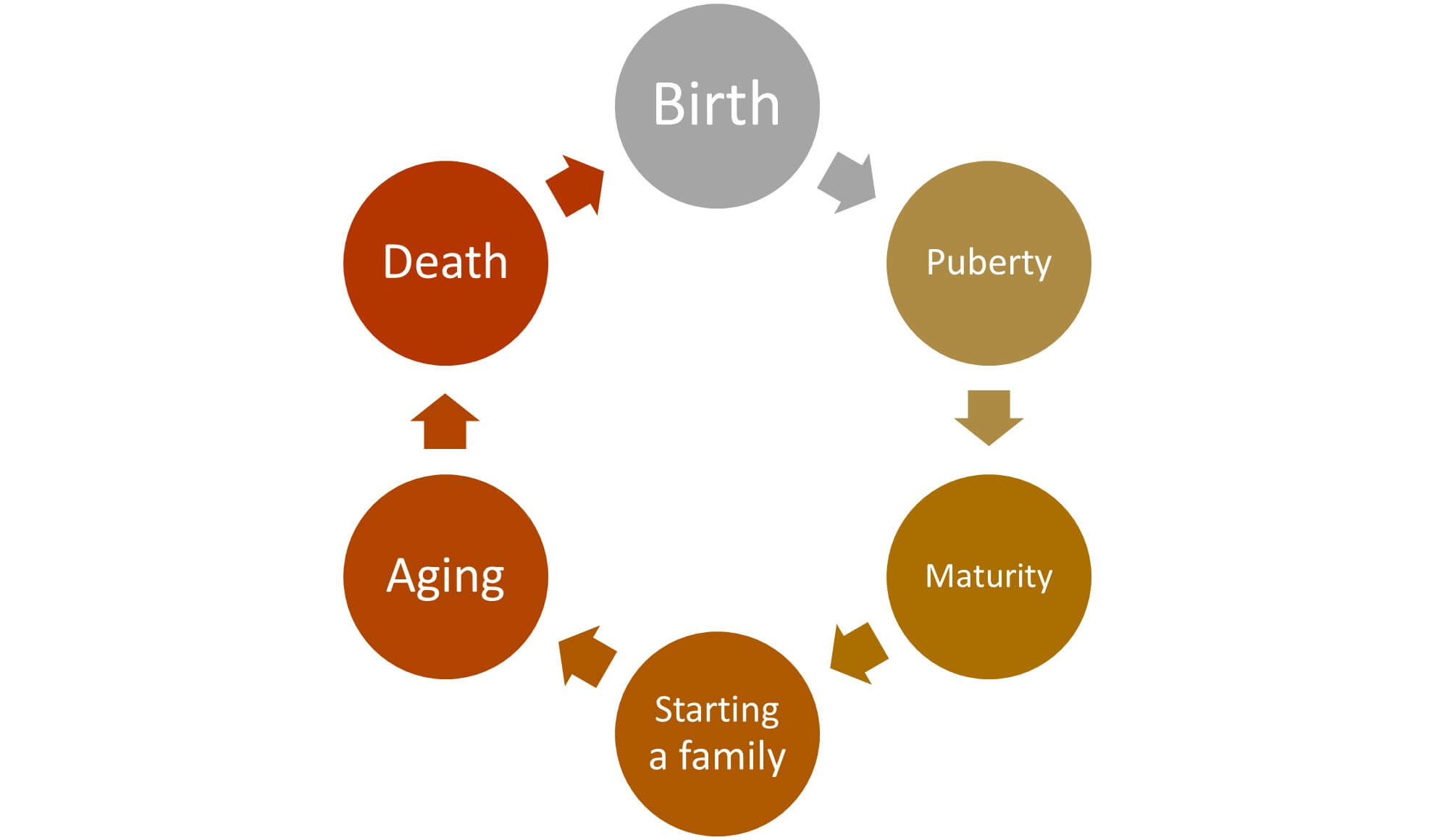 Japan culture birth puberty maturity starting a family aging death
