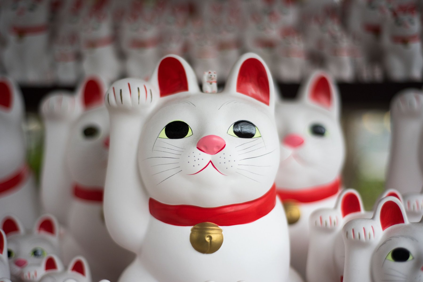 lucky cat superstition