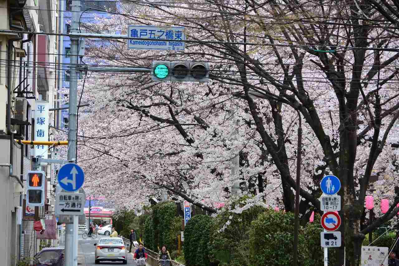 city in japan with kanji signs