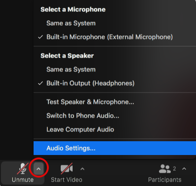 online lesson tools zoom setting