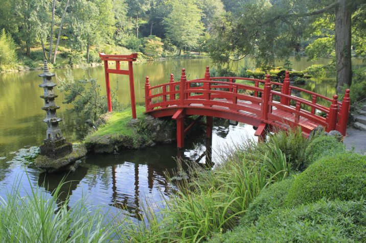 foreigners learning japanese in serene location in japan