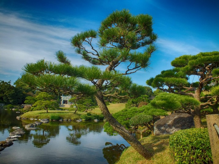 japanese learning camp for foreigners