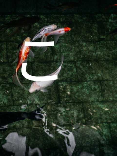 Mnemonics for ko is koi in hiragana table