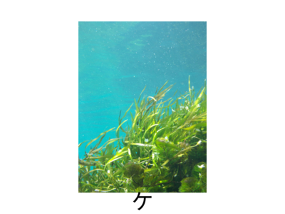 Mnemonics for ke is kelp in katakana
