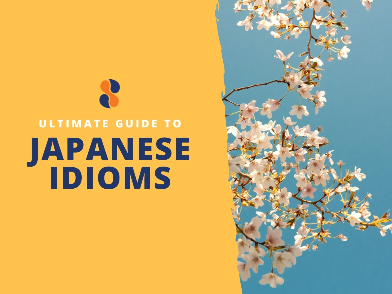 Guide to Japanese Idioms