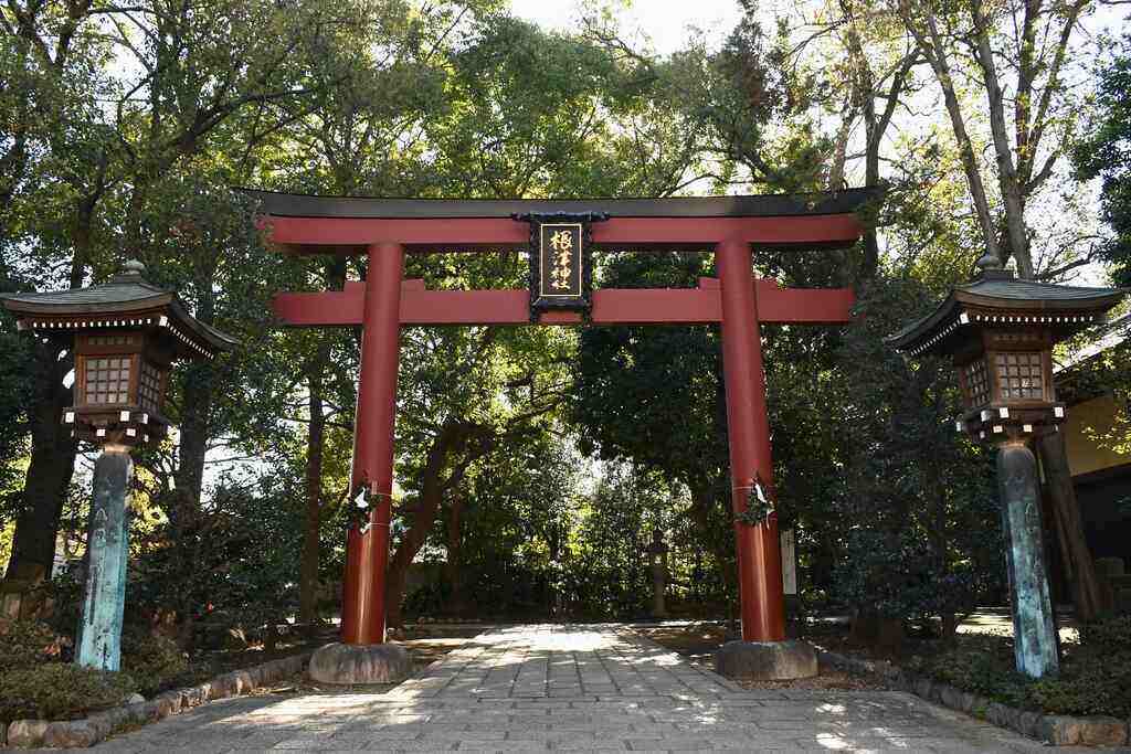 huge tori gate before entering nezu shrine in tokyo