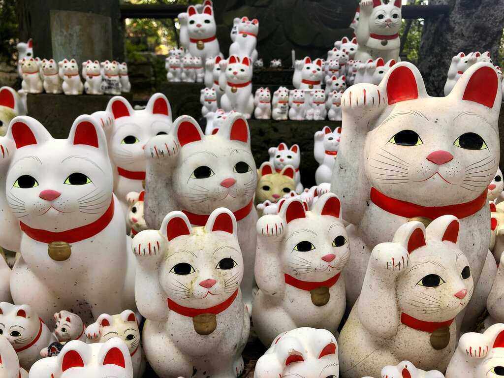 lucky cats figurines in gotokuji temple in tokyo