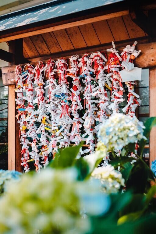 Omikuji prayers and wishes temples and shrines in Tokyo