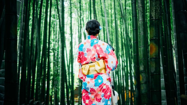 A Japanese women wearing a Yukata as she looks into a forest of tall green bamboo