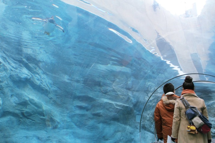 Japanese Nabe tokyo kyoto osaka hokkaido