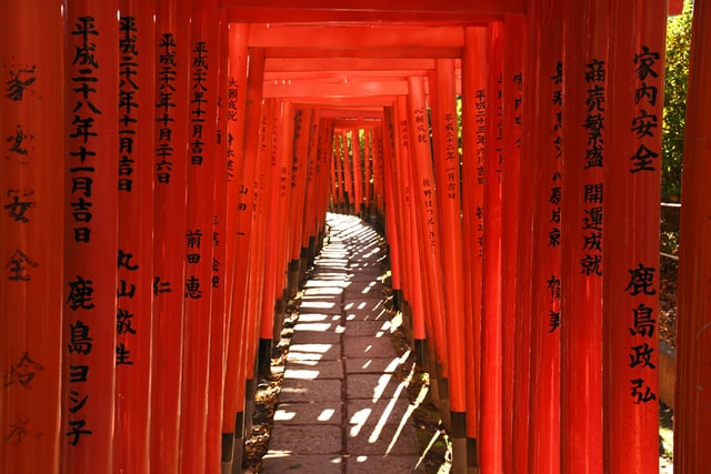 Nezu Shrine Vermillion torii gates