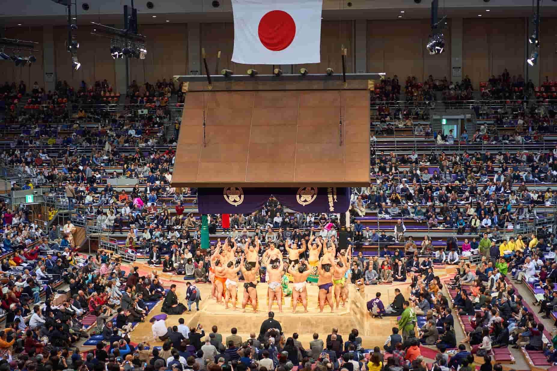 Watching Sumo wrestling in Tokyo