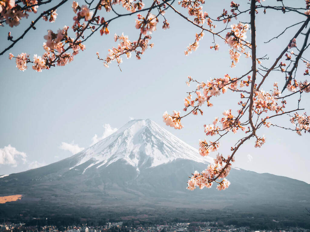 Experiencing Mt Fuji in Spring