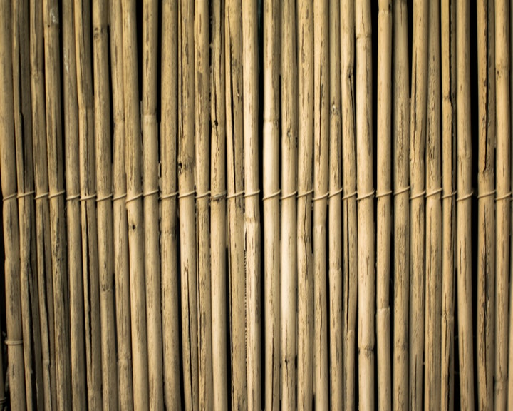 A picture of a bamboo fence