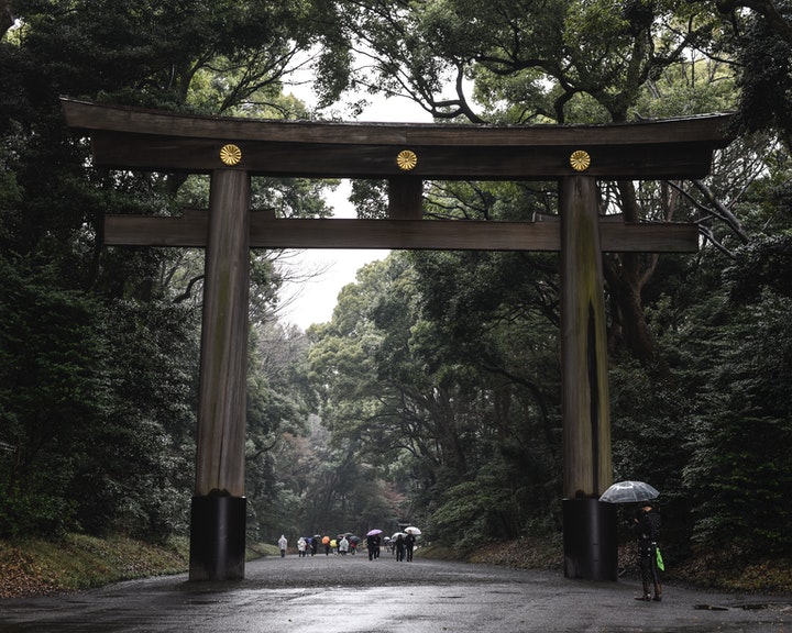 Visiting yoyogi park is a must-to-do among things to do in Shibuya