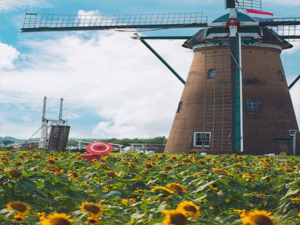 Things to do in Chiba - German village windmill