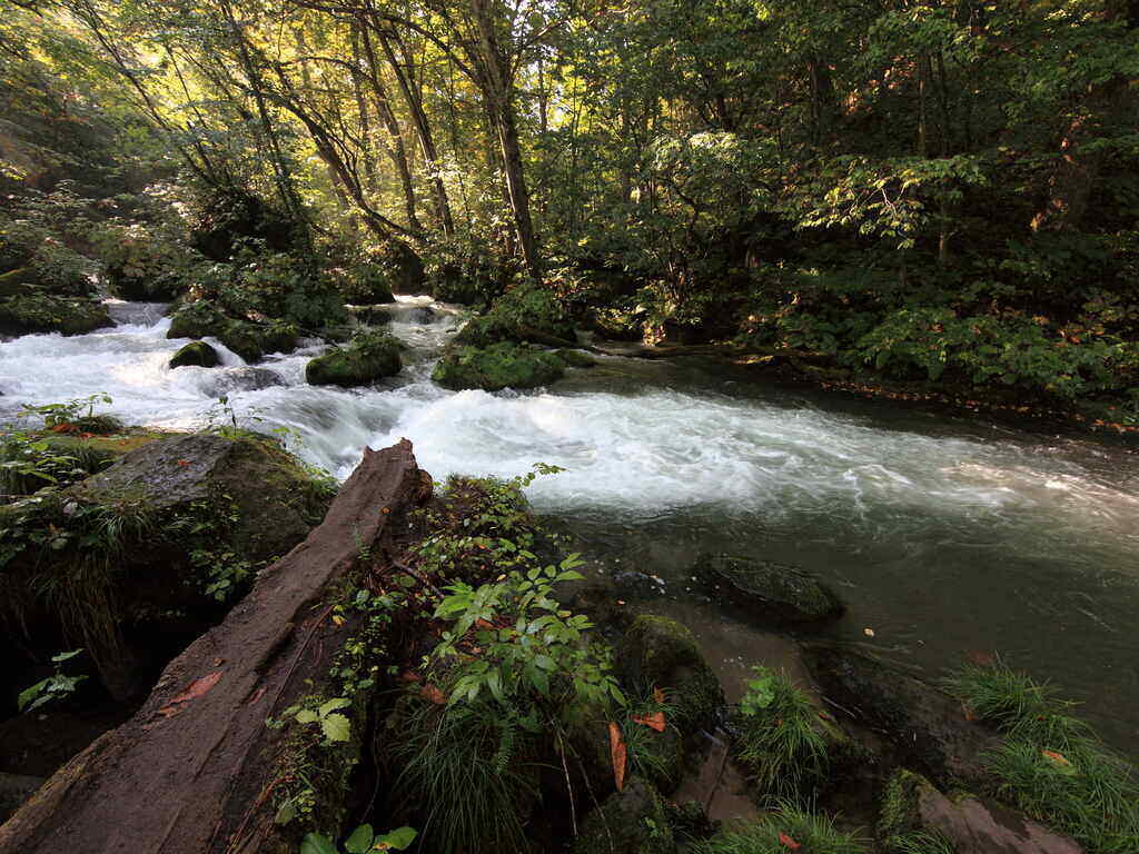 Natural beauty in Aomori