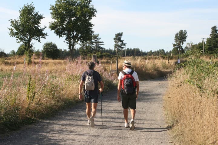 Two hikers walking along a pathway in various types of gear, one with a backpack and sunhat, the other with a backpack and hiking poles, walking along on a fairly sunny day