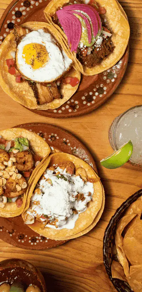 A picture of the best fusion tacos as the best Mexican food in Tokyo from top view.