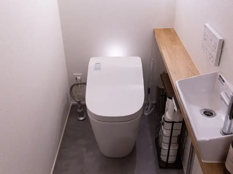 Standard Japanese toilet with washlet control panel