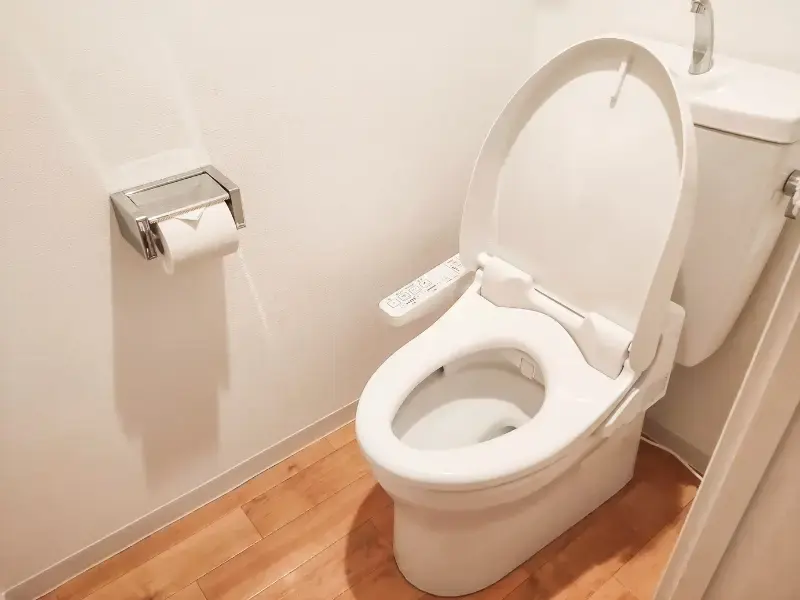 Japanese toilet in a small restroom with toilet paper holder