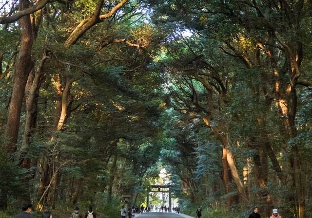 Meiji Jingu Shrine in Tokyo
