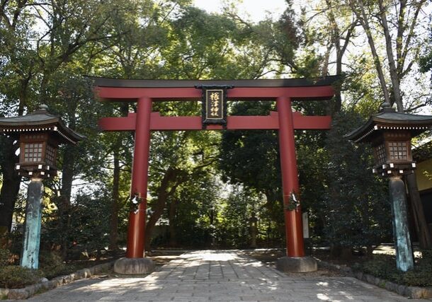 Nezu Shrine torii