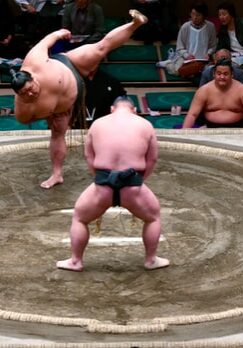Tomioka Hachimangu Sumo