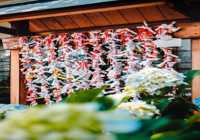 Omikuji tied to metal racks at a shrine