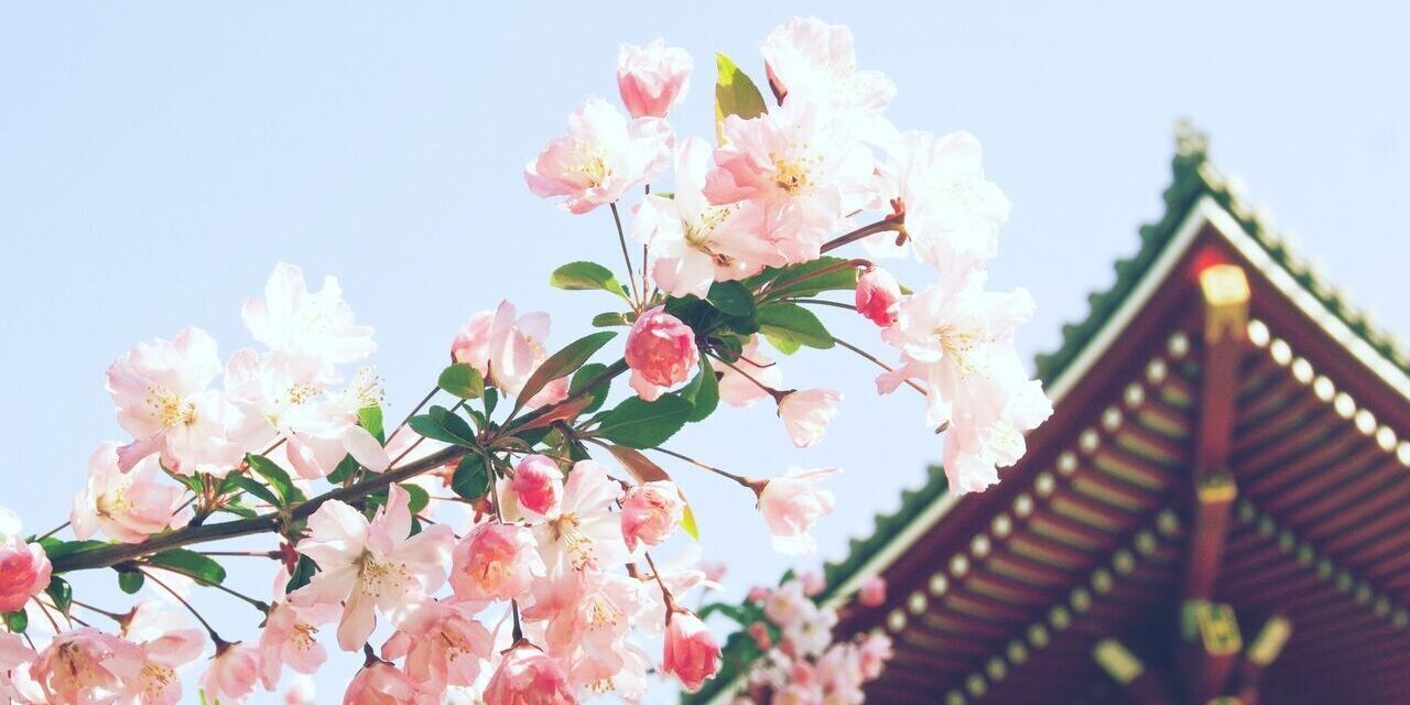 shinto temple for wedding ceremony in japan
